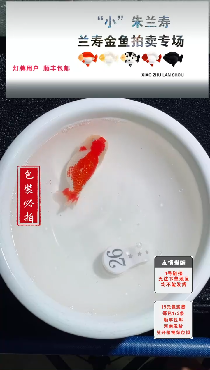 金鱼没拍包装顺丰到付1~3条每包26号