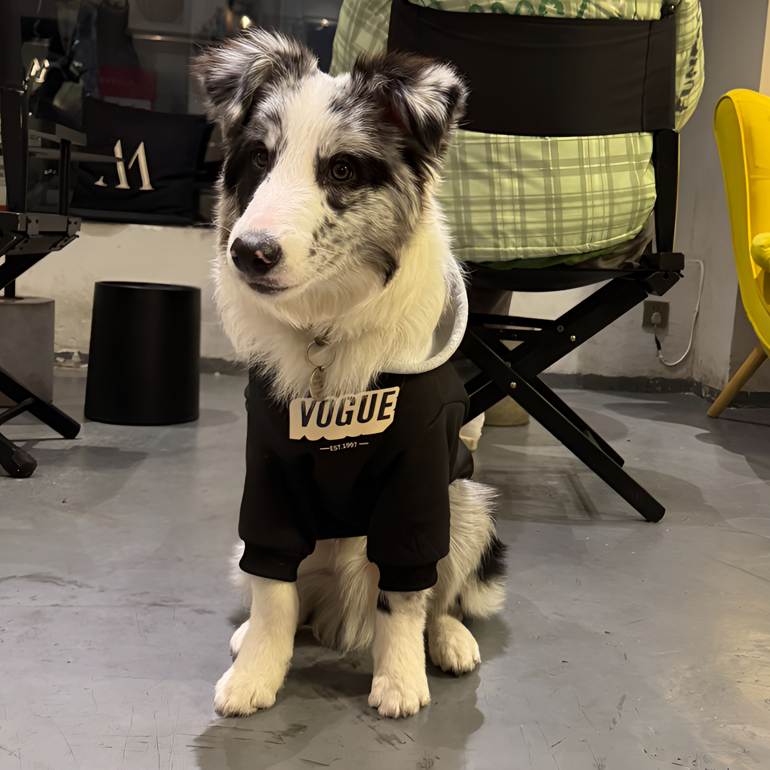 春季狗狗加绒加厚保暖拼色连帽卫衣大型狗边边牧边牧狗狗冬季衣服