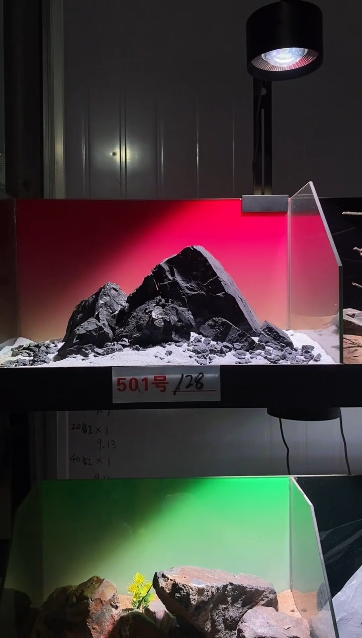 501号鱼缸造景（不含底砂）