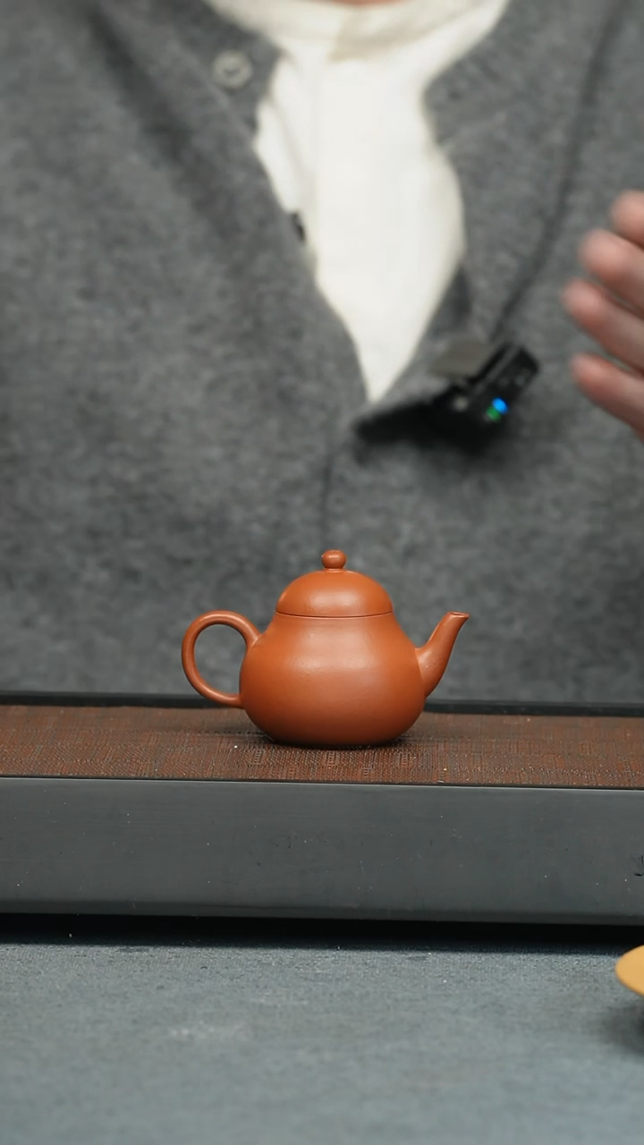 【闪购商品】紫砂茶壶五堂 婵娟