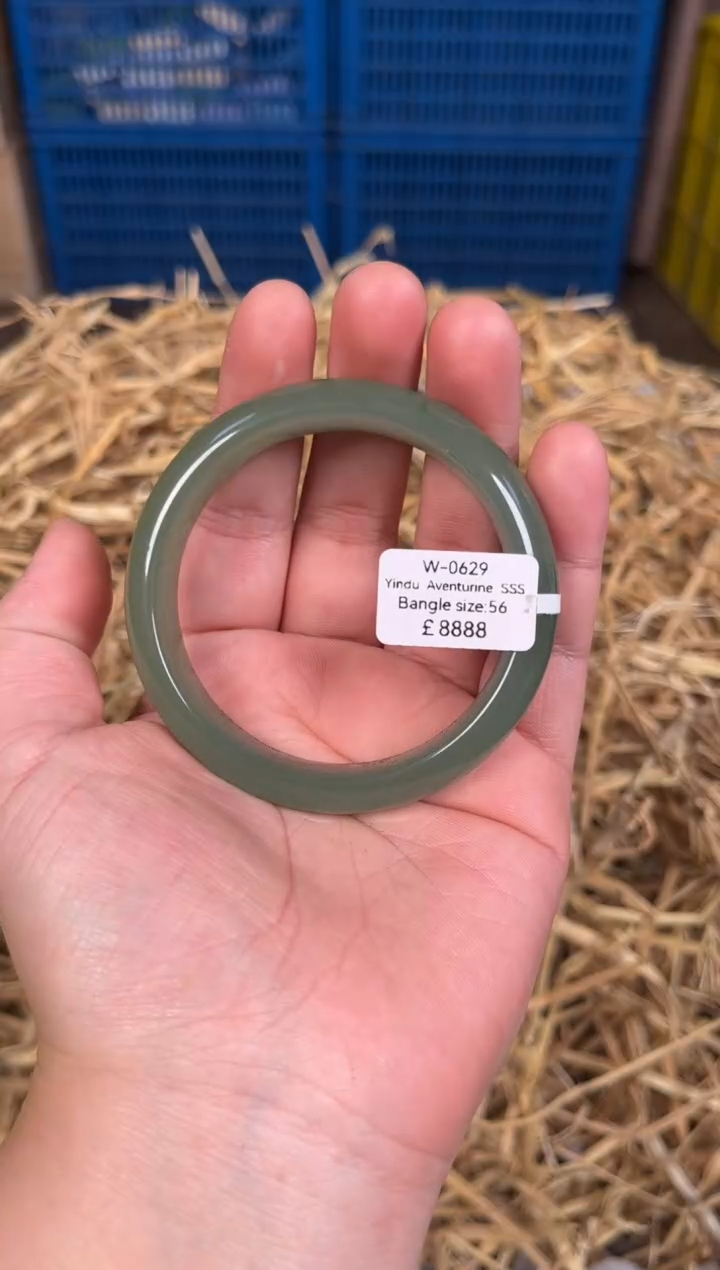 未镶嵌手镯石英质玉W0629