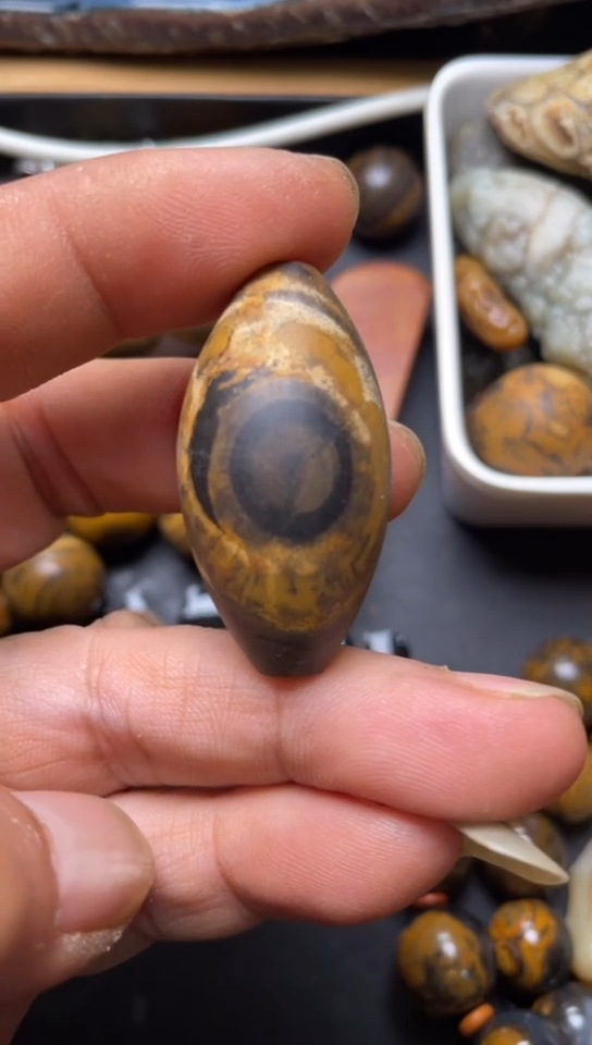 石材石材九眼页岩钱币石323