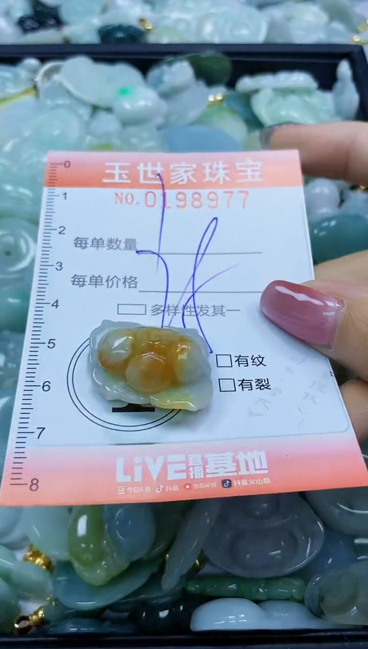 【闪购商品】翡翠颈饰未镶嵌闪购0198977