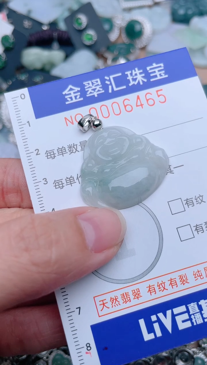 翡翠未镶嵌颈饰6465....