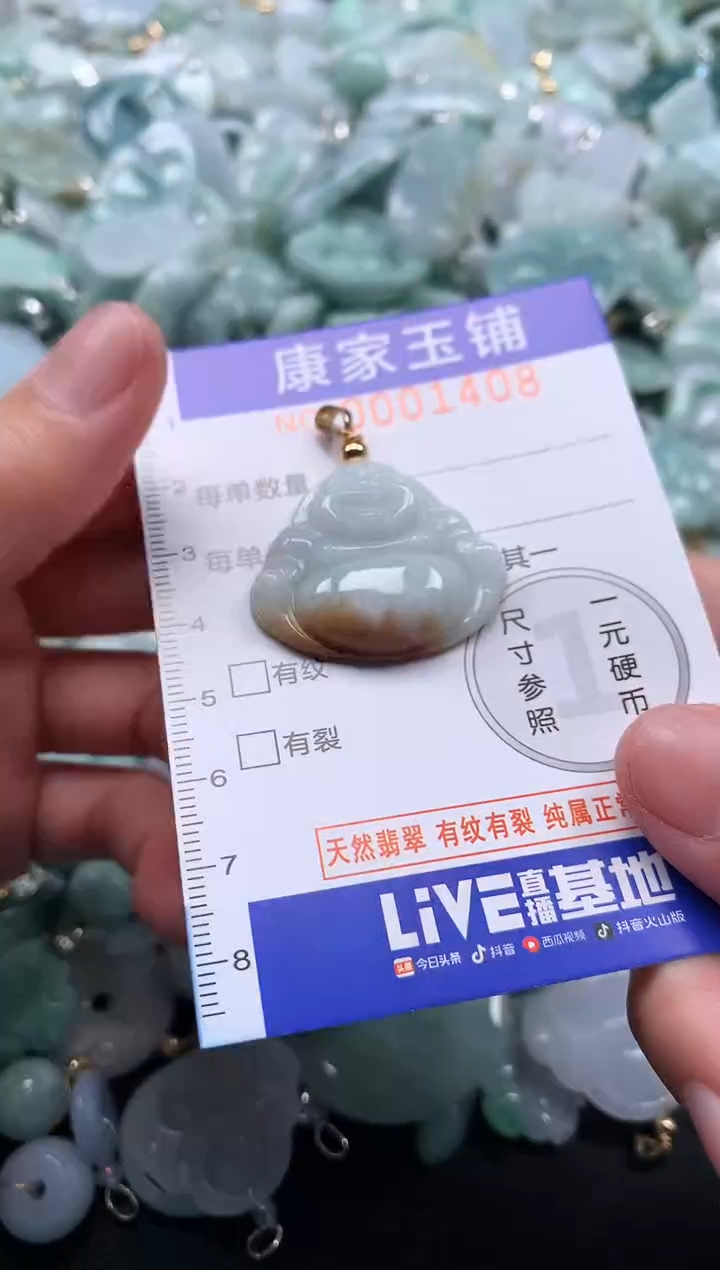 颈饰未镶嵌翡翠1408