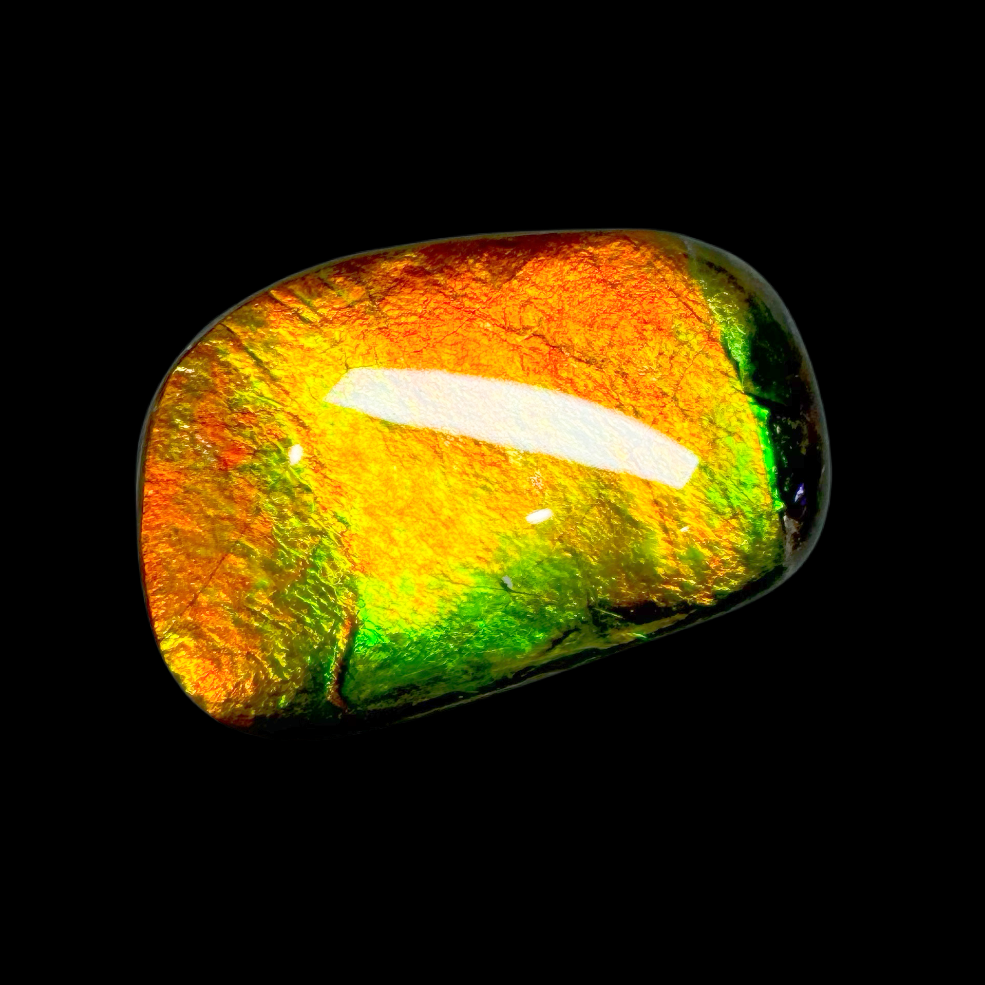 【斑彩石】25.7mm 原石 BC 产地：加拿大 贝壳G2