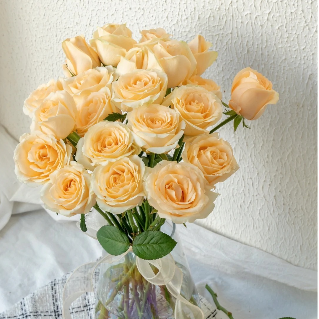 【香槟玫瑰】 云南鲜花软黄色玫瑰 昆明基地直发 全场两单顺丰包邮