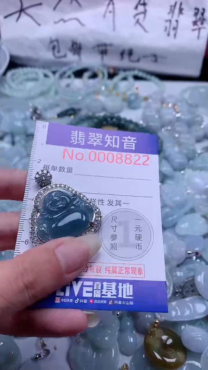 翡翠未镶嵌吊坠(不含链)8822