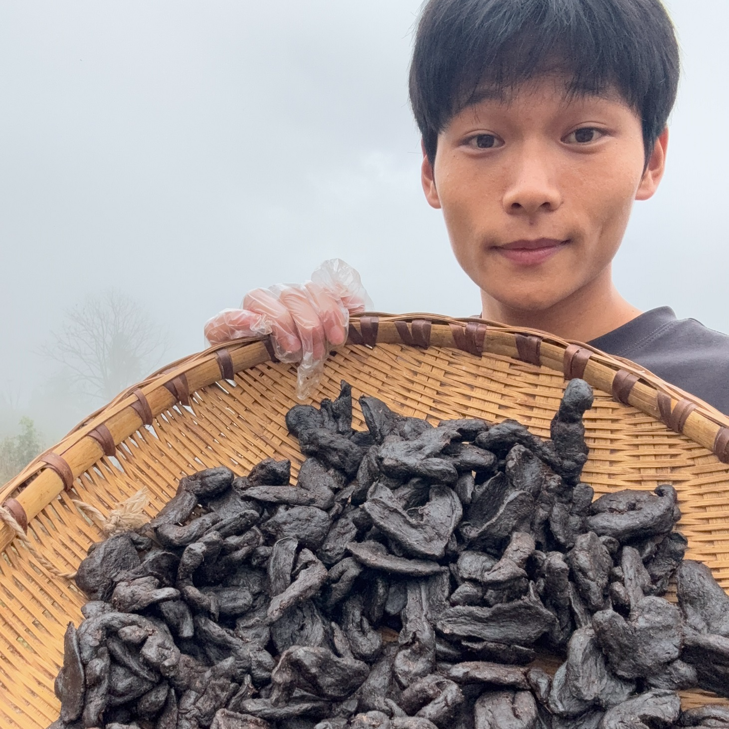 道家古法手工九蒸九晒道地黄-精果搭配红枣煲汤泡酒