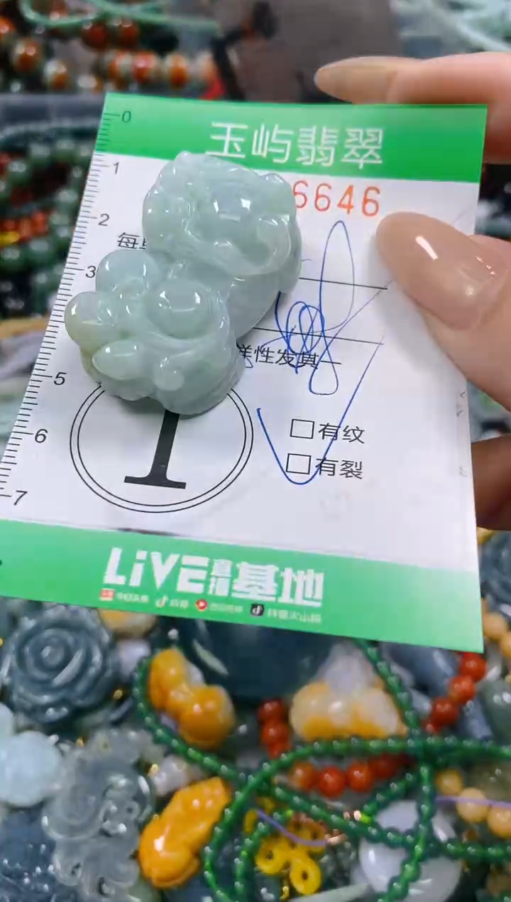 颈饰未镶嵌翡翠闪购0246646