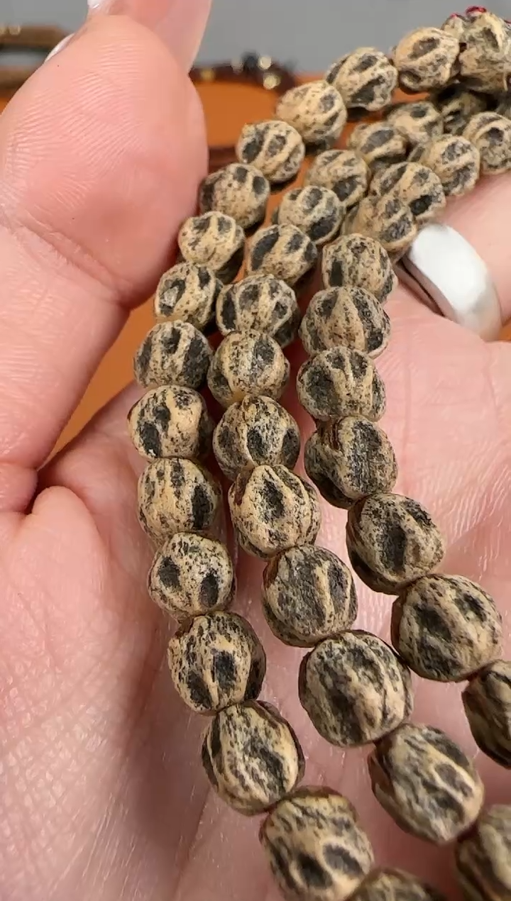 【闪购商品】柏香籽/百香籽吊坠TG1123《蚩尤》