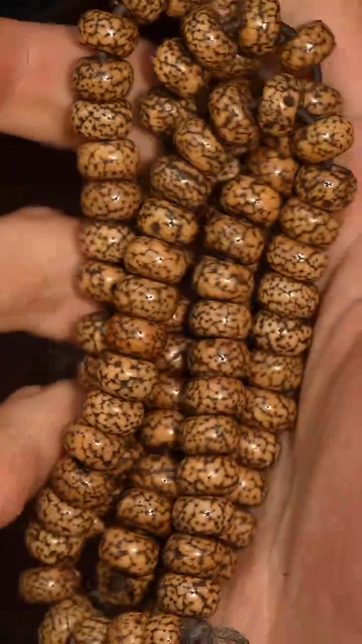 冲赛康胡子哥，藏传念珠149