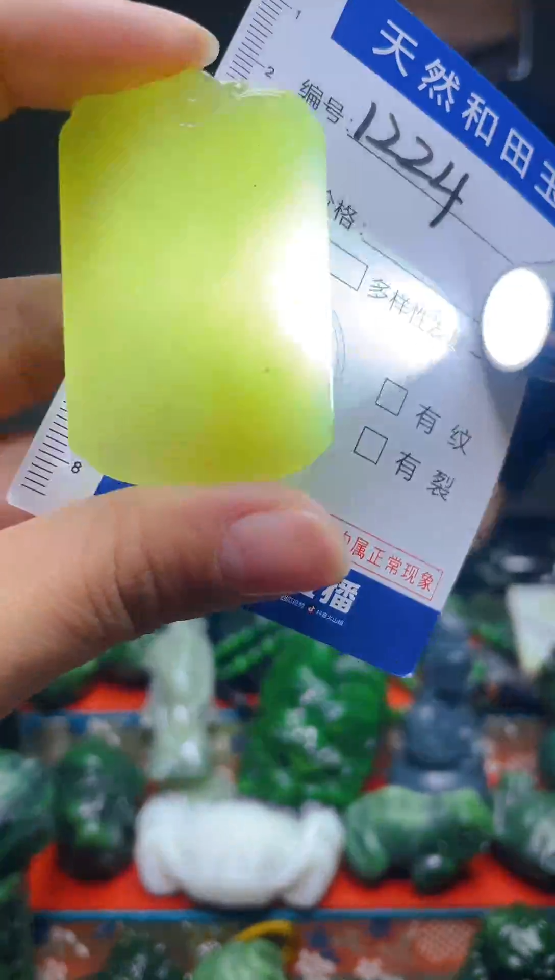 颈饰未镶嵌和田玉1224