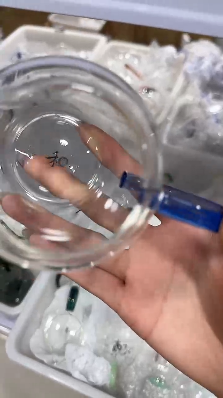 龙冉公道杯蓝色简易包装=====-==微瑕