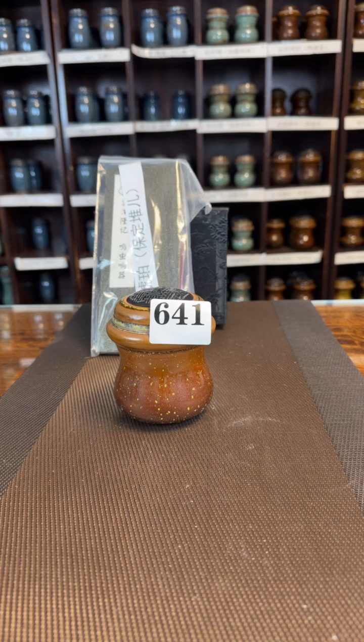 【闪购商品】琥珀金斑   保定堆儿  一只  641