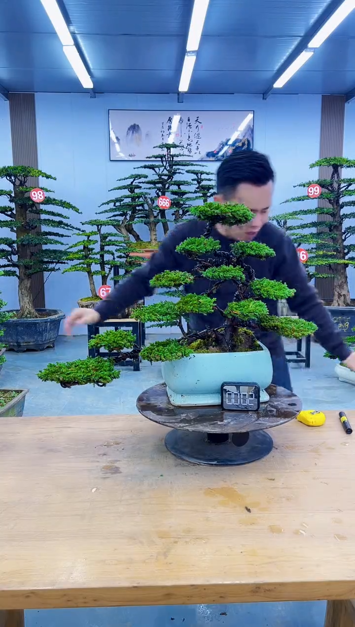 以实际为准00000000000