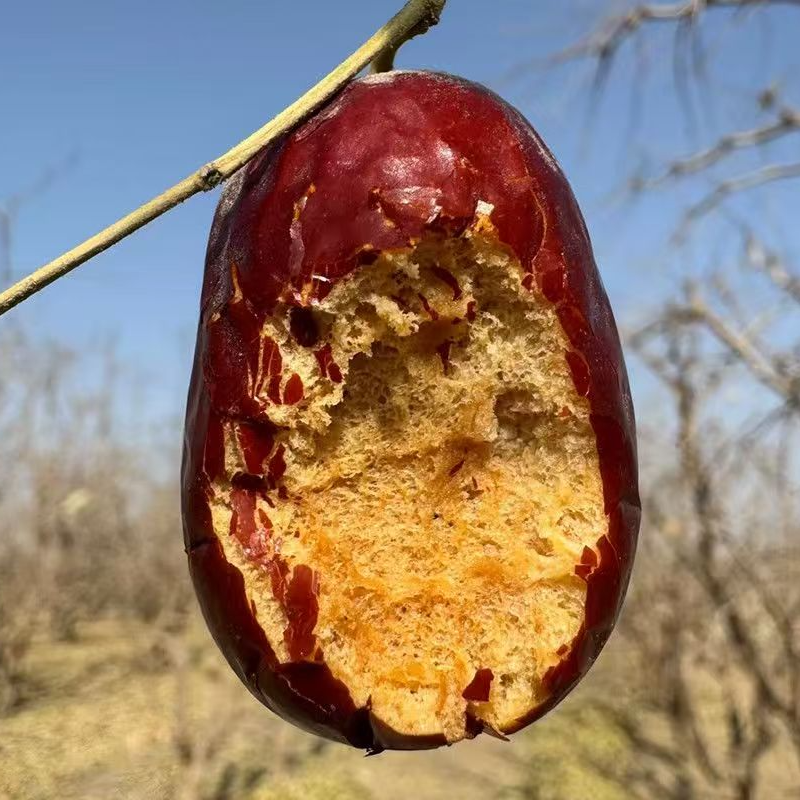 新疆和田大枣 | 肉厚核小，自然香甜，产地直发XJ