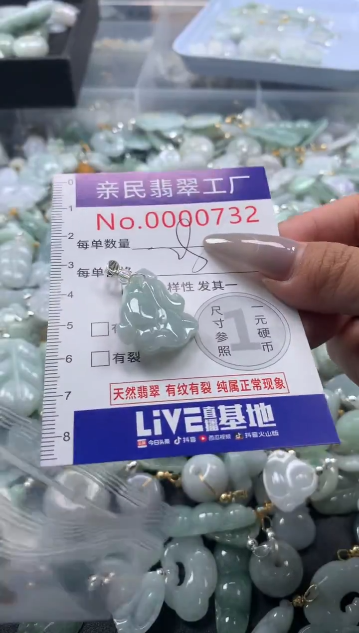 颈饰未镶嵌翡翠732