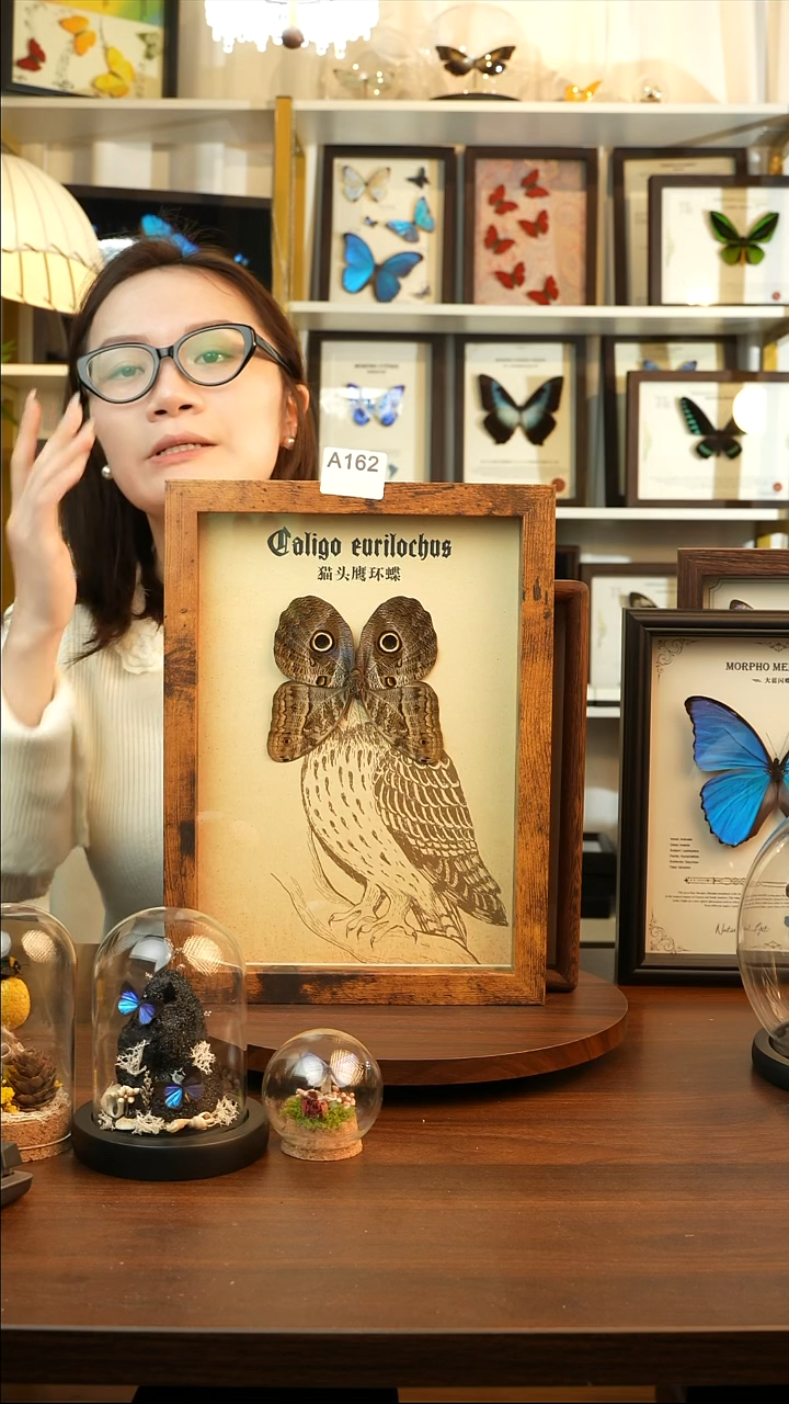 猫头鹰环蝶-复古（A4复古焦糖色框）A162