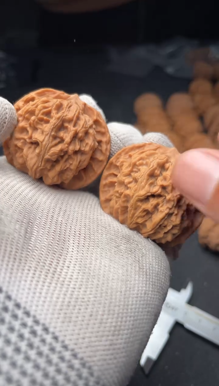 核桃a186  盘龙纹 42尺