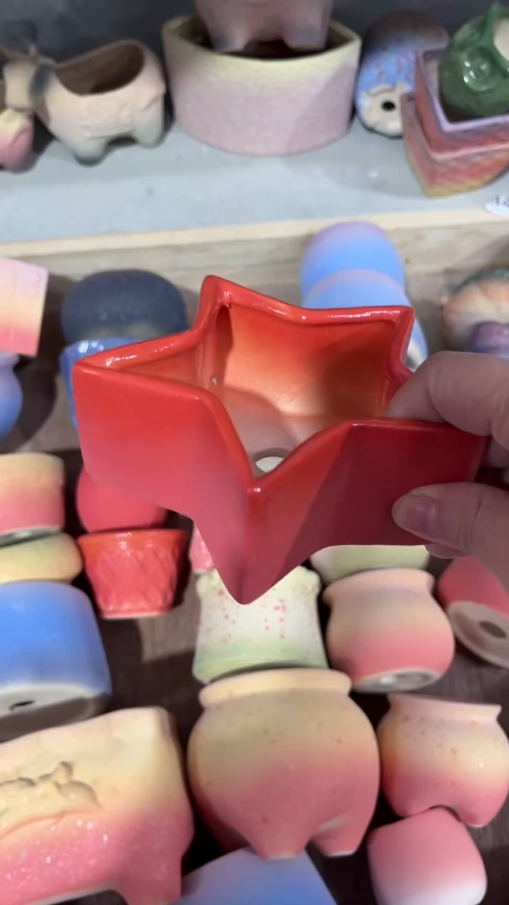 【闪购商品】陶内口  9  内高5