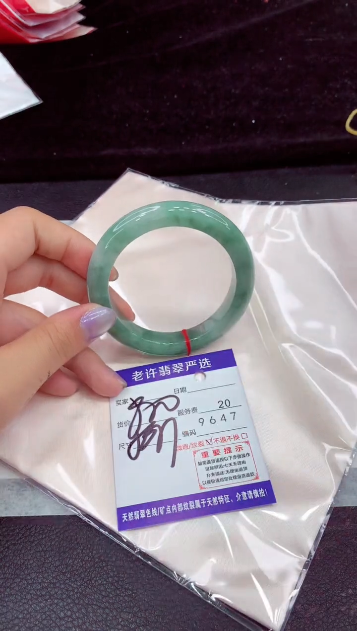 未镶嵌手镯翡翠1