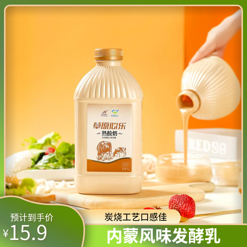 JIN SHI DAI/今时代1桶品尝内蒙古正宗风味炭烧酸奶发酵乳1kg*1桶