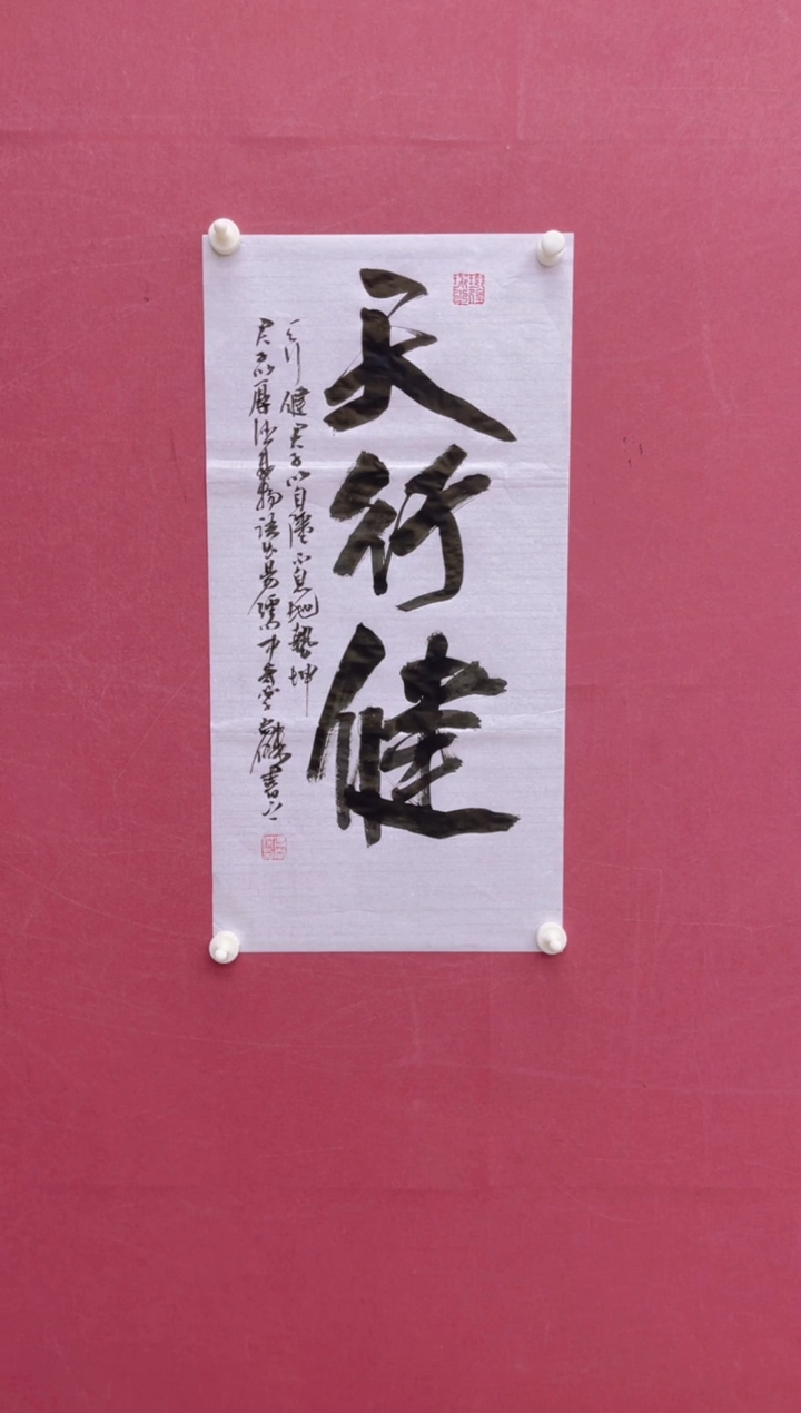 【闪购商品】书法天行健冯尚杰书法作品