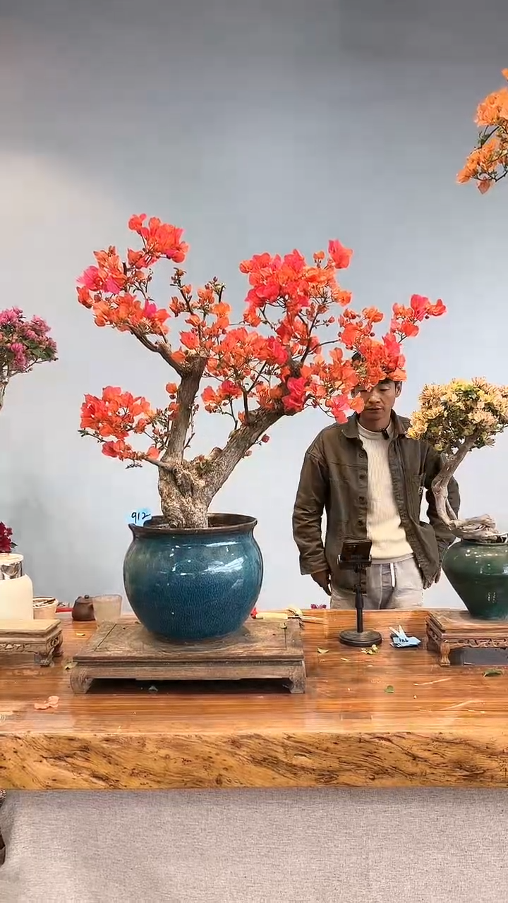 【闪购商品】aa912