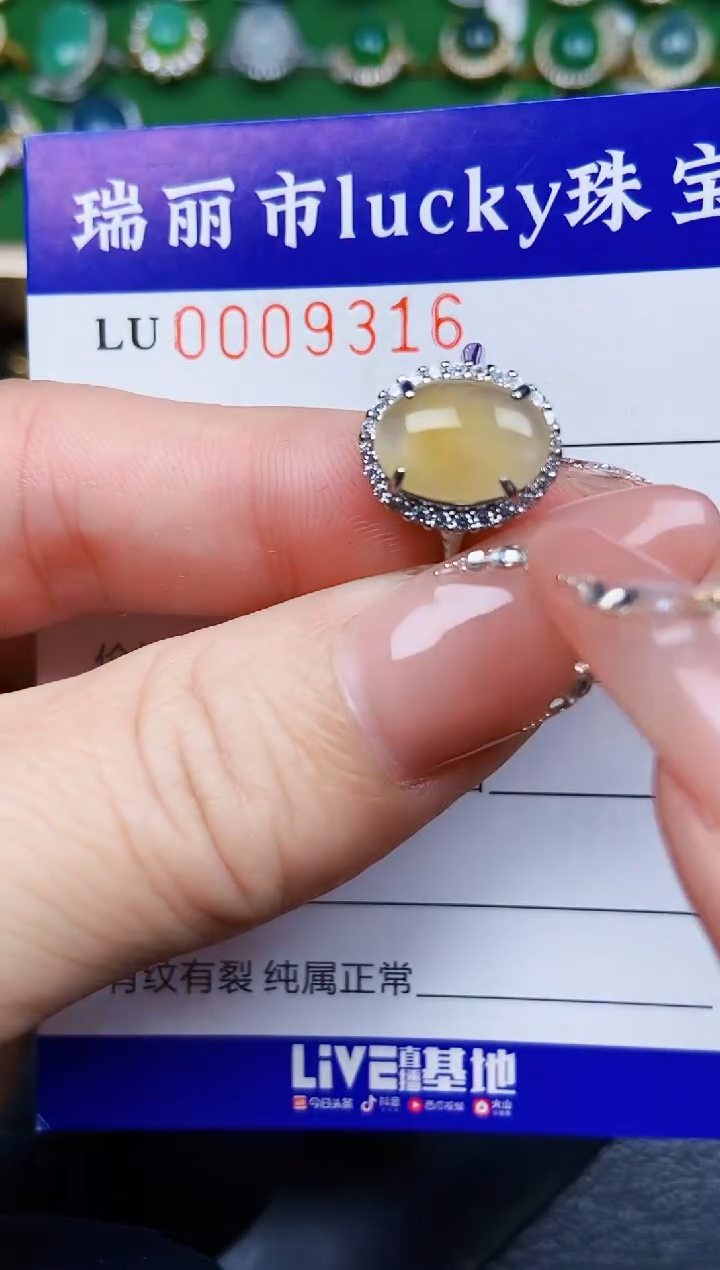 【闪购商品】翡翠颈饰银S925镶嵌9316