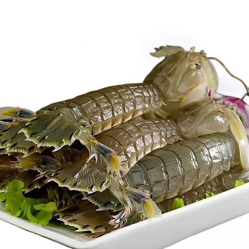 鲜活皮皮虾海捕虾爬子爬爬虾家庭装活发，包鲜不包活
