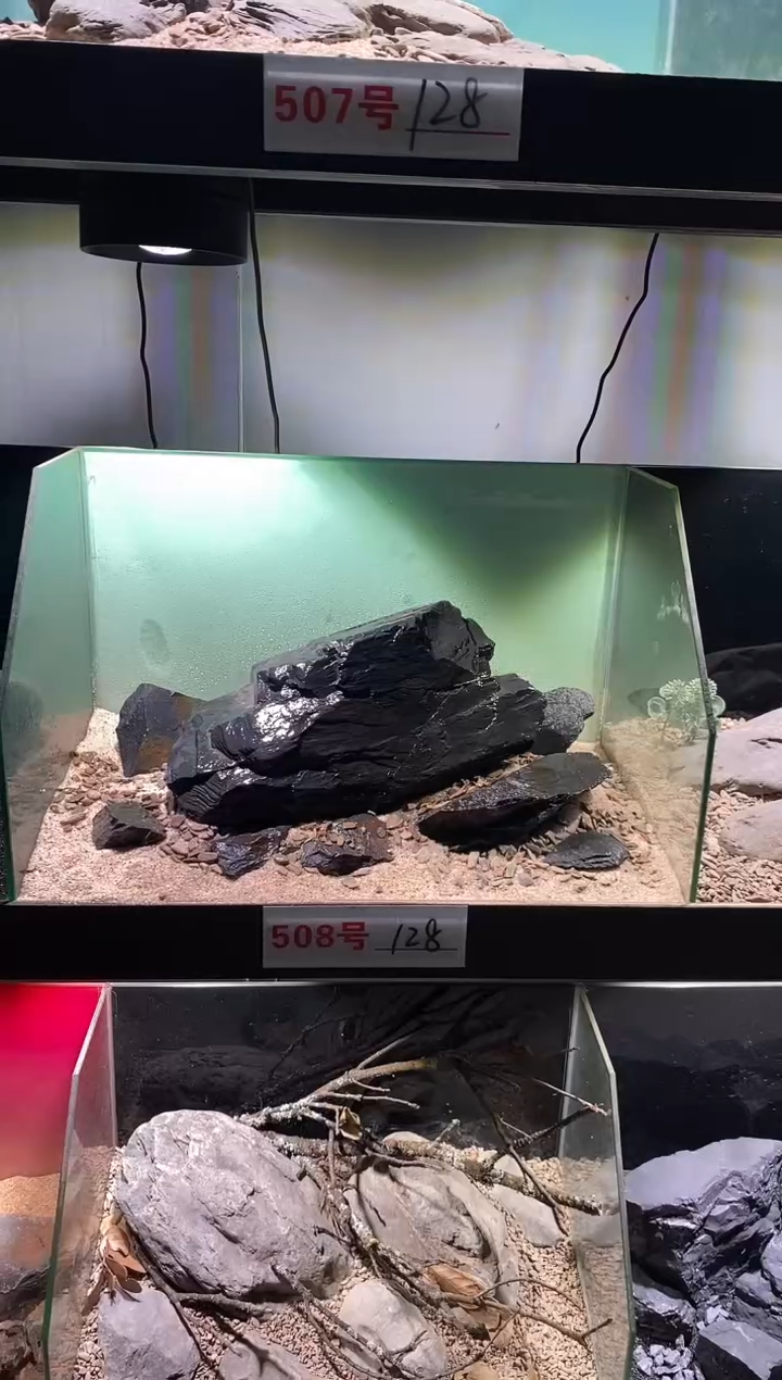 508号鱼缸造景（不含底砂）