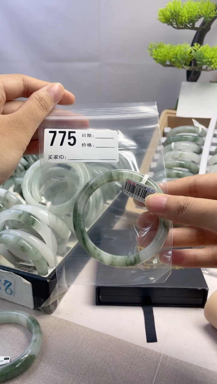 石英质玉（天山翠）手镯未镶嵌775