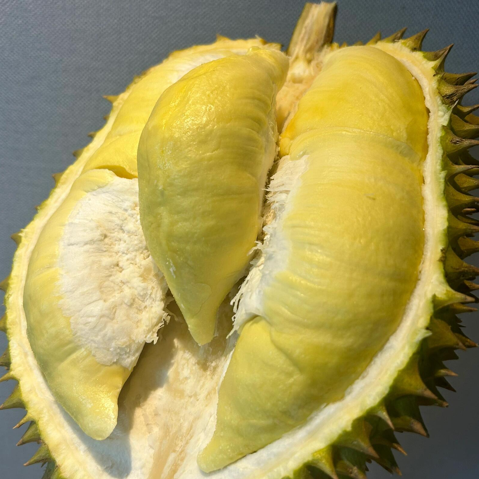 【JH】（新双十一特福利专属）新鲜金枕榴莲核小肉厚2-15斤整果发货榴莲金枕头泰国南部金枕泰国南部