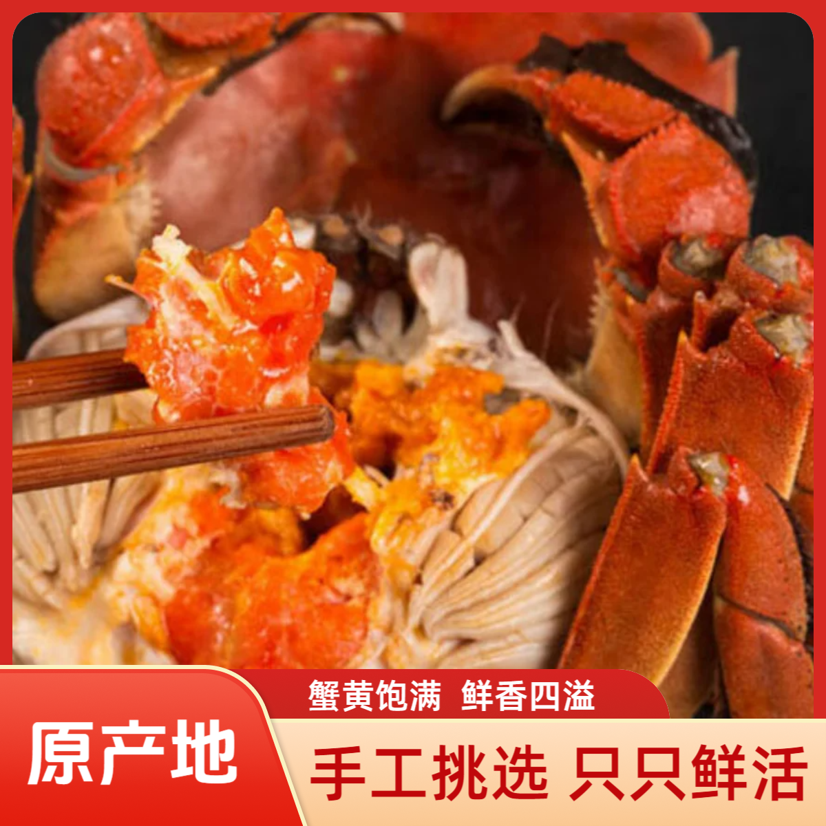 【大号活蟹】盘锦稻田蟹（1.3-1两） 母蟹 2-3斤 鲜活到家（20-30只）