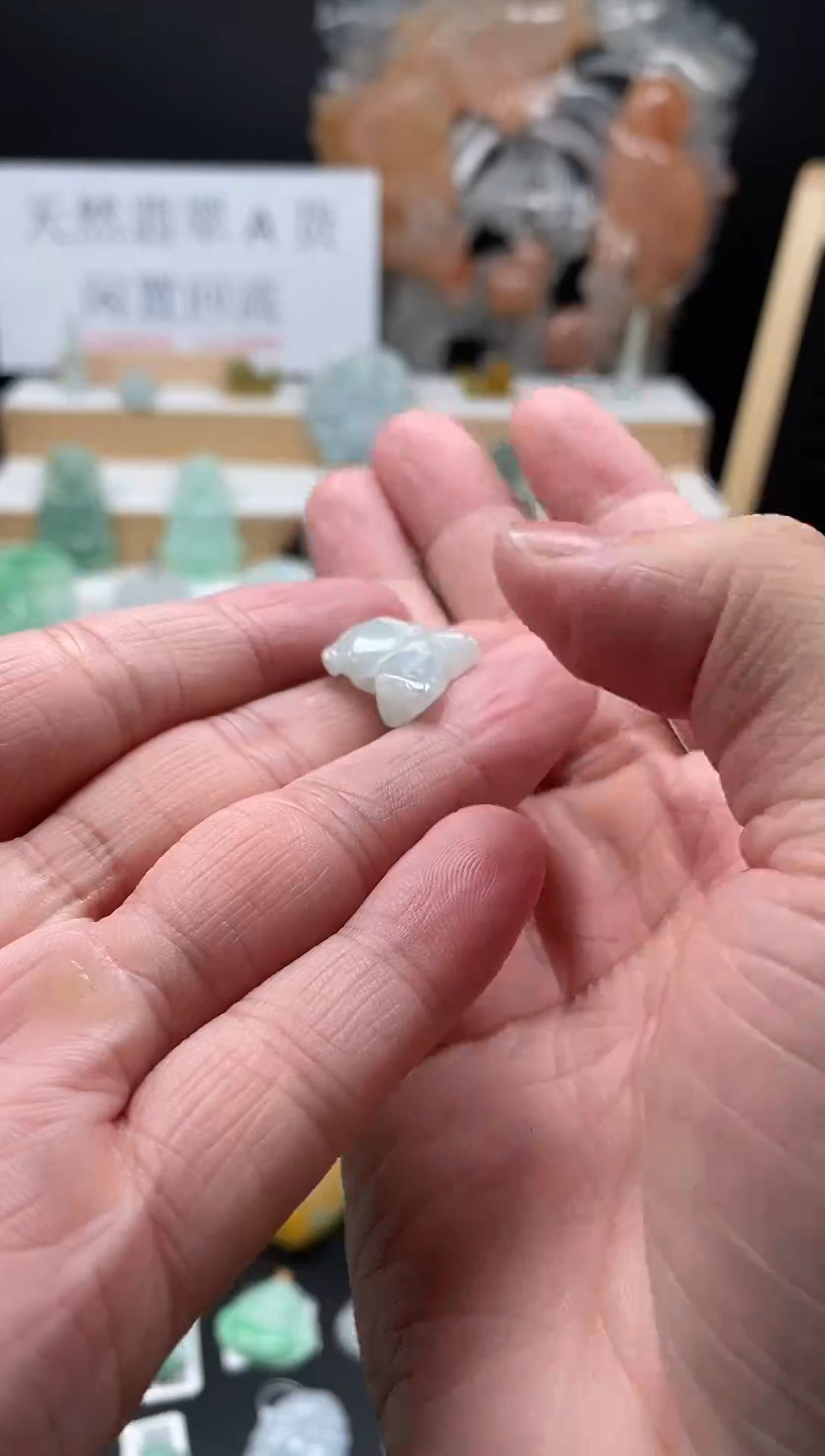 【闪购商品】翡翠颈饰未镶嵌87小狗狗