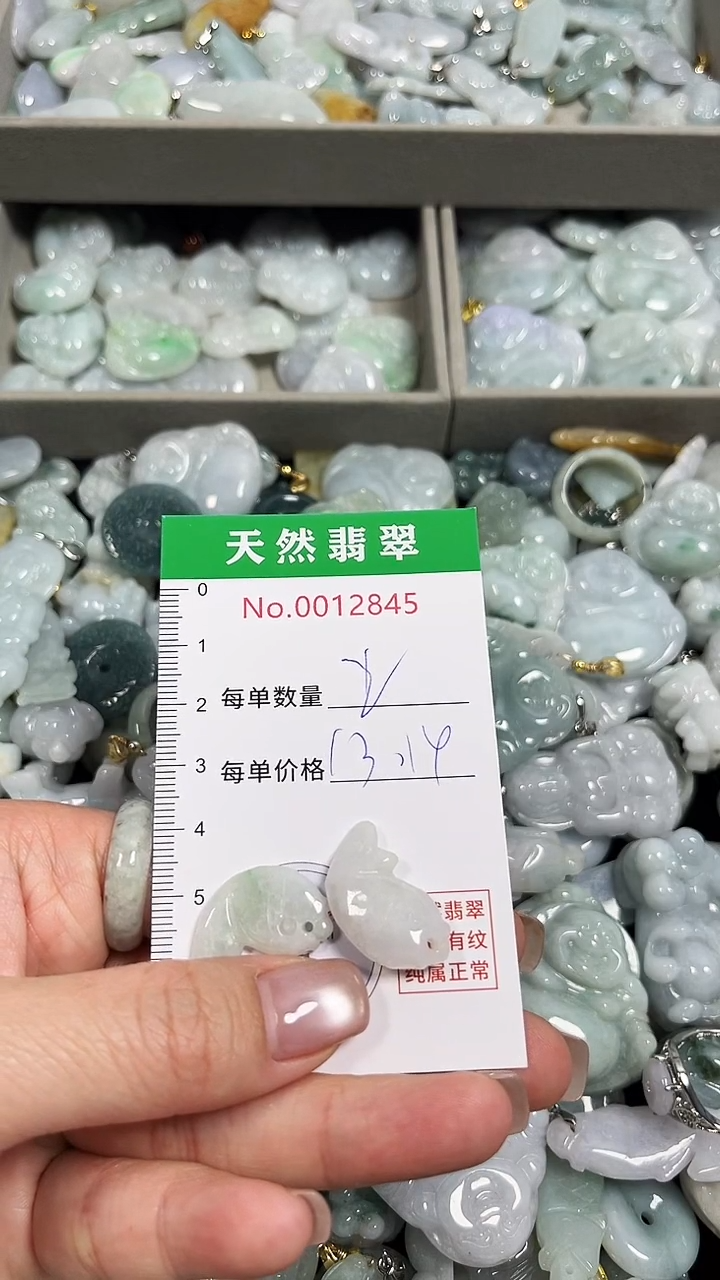 翡翠未镶嵌吊坠(不含链)2845