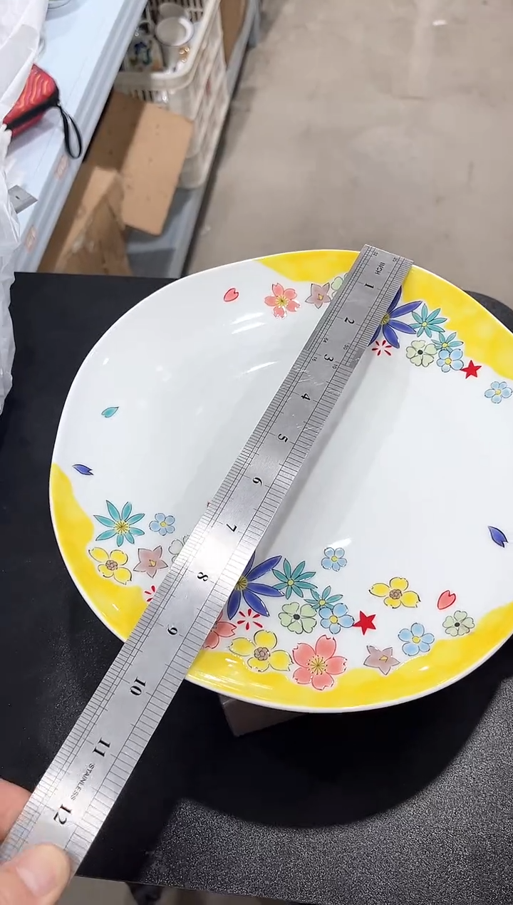 杯子骨瓷（简装）9.5寸拉丝盘一个