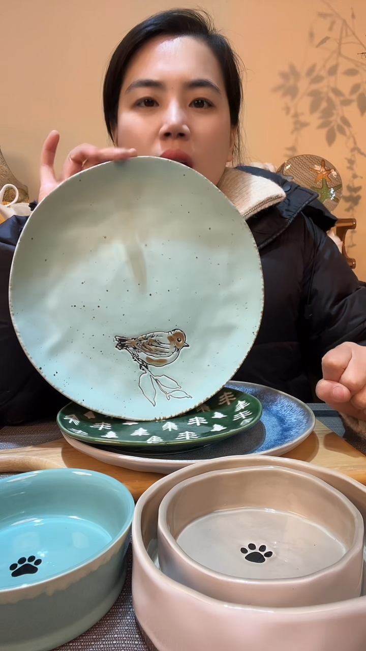 【闪购商品】瓷片小鸟10.5英寸盘 微瑕介意勿拍