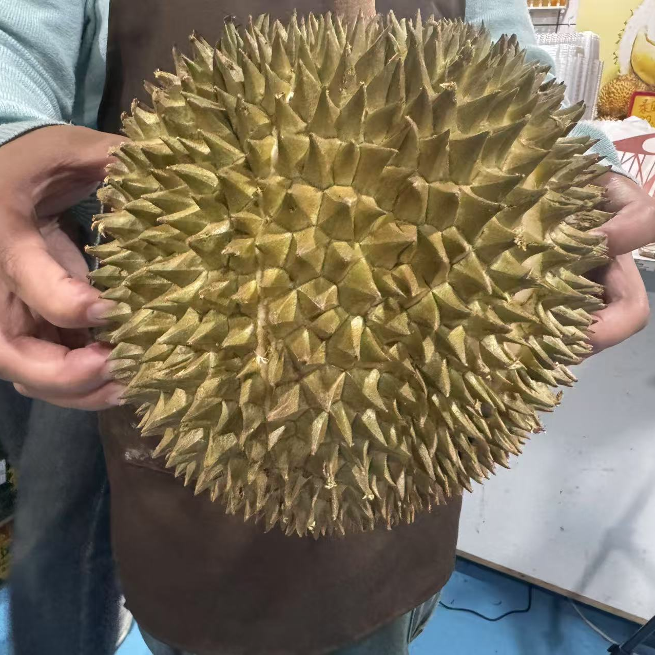 【榴莲小时达】8号 泰国树熟猫山王 新鲜榴莲 核小   小屋榴莲一果一重榴莲同城配金枕泰国
