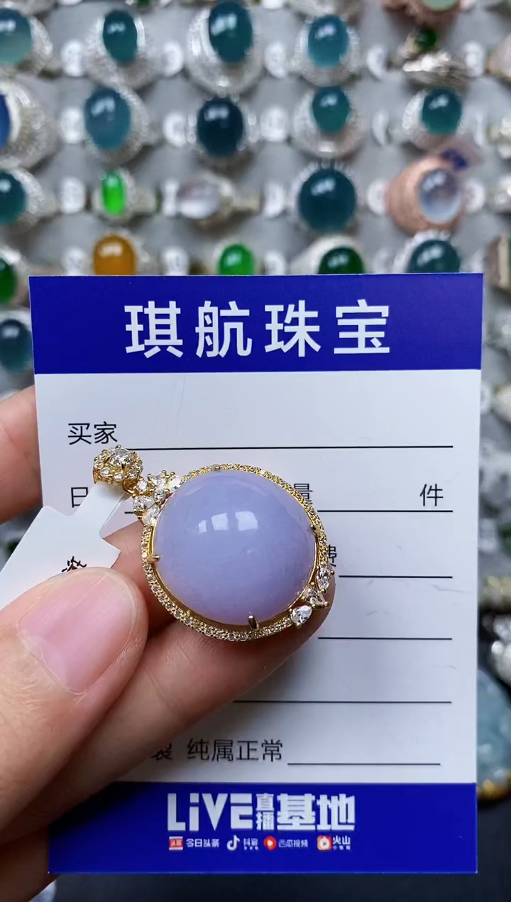 【闪购商品】翡翠颈饰银S925镶嵌0318