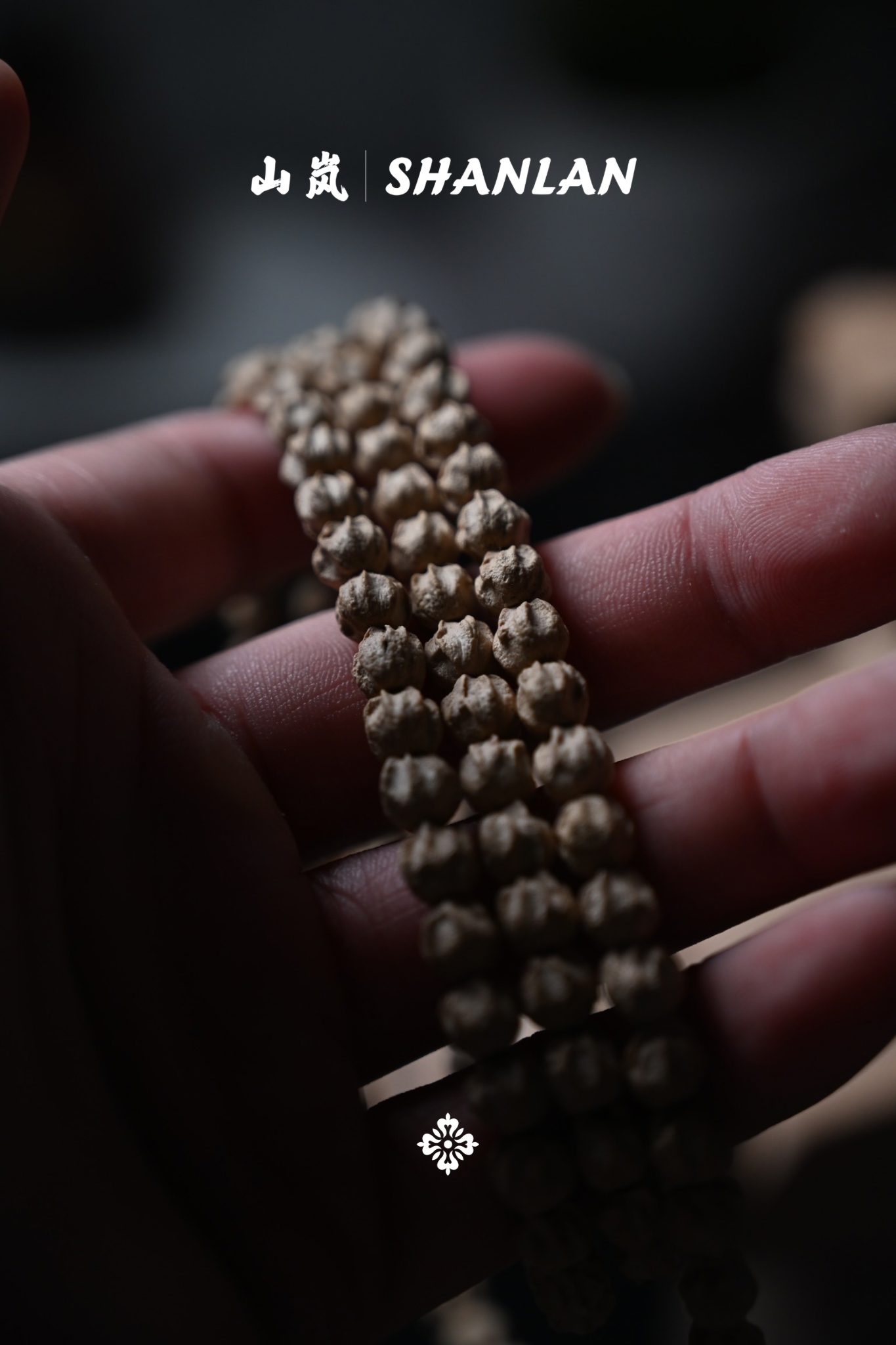 【山岚】山系列原桩多棱龙爪龙脊鬼脸【峨眉刺】/百香籽/柏香籽/龙脊