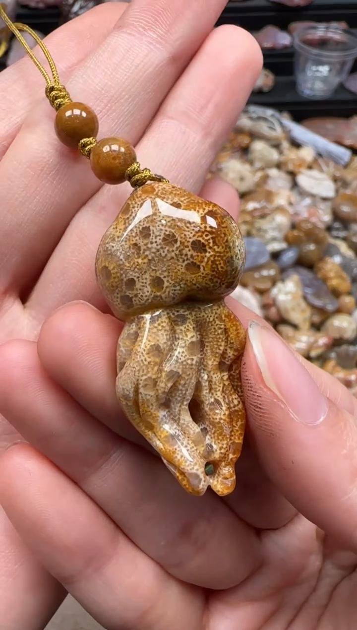 【闪购商品】硅化珊瑚（珊瑚玉）颈饰未镶嵌490