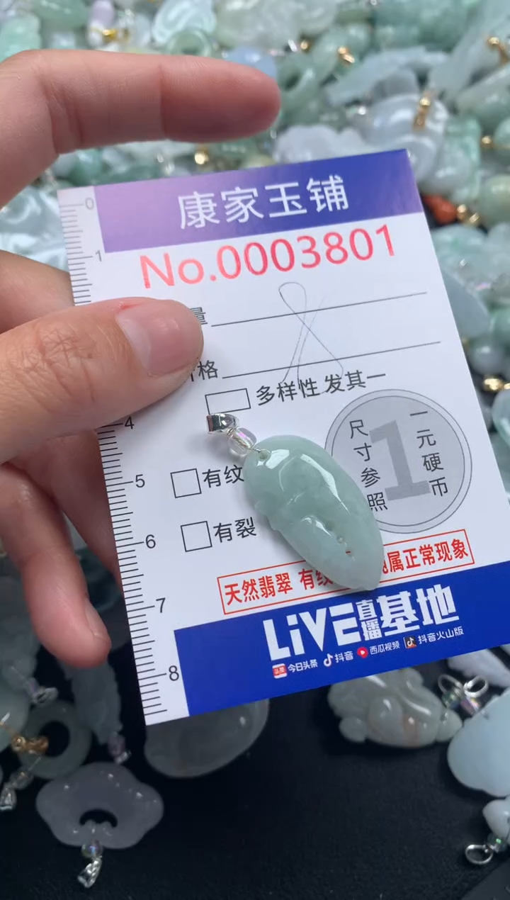 颈饰未镶嵌翡翠3801