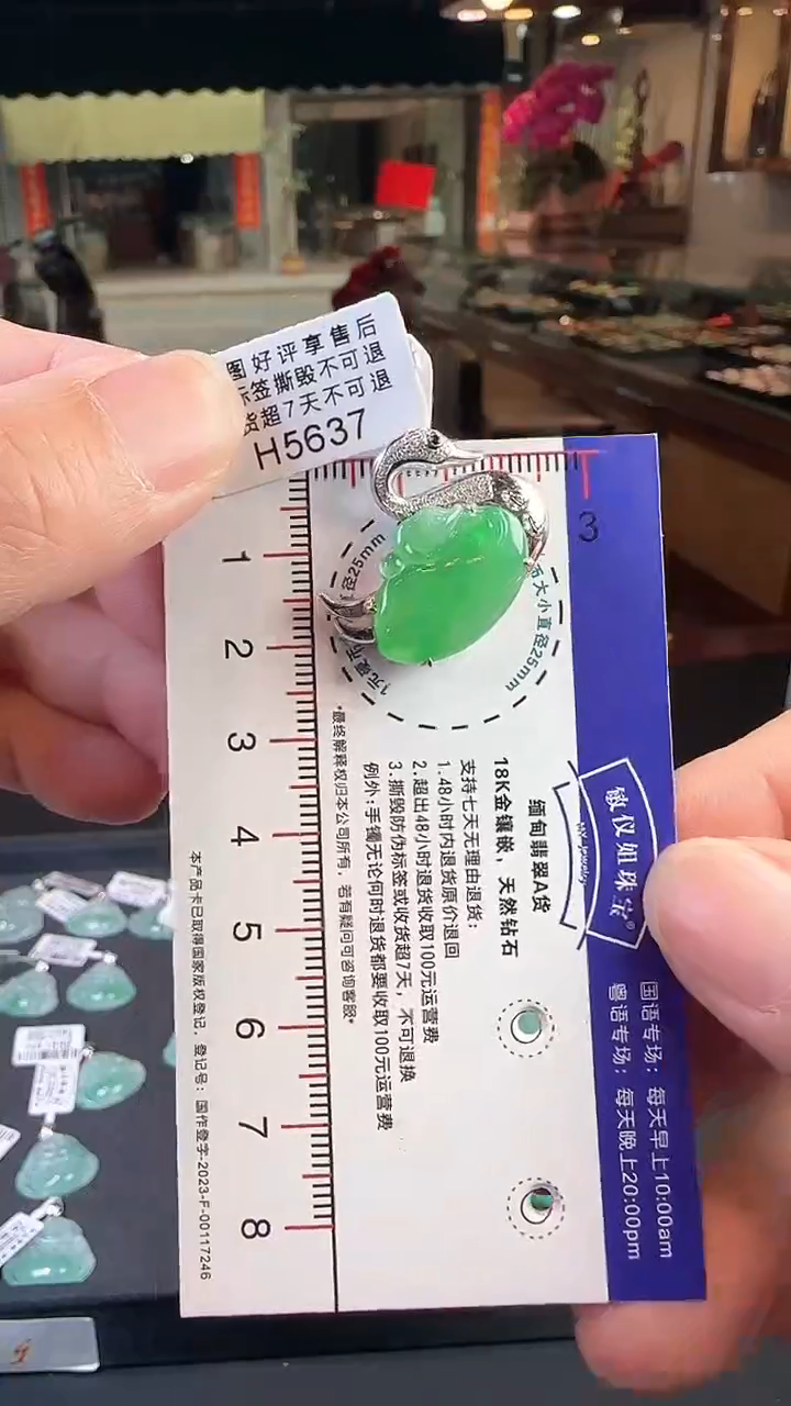 【闪购商品】翡翠颈饰18K金镶嵌H5637冰绿天鹅