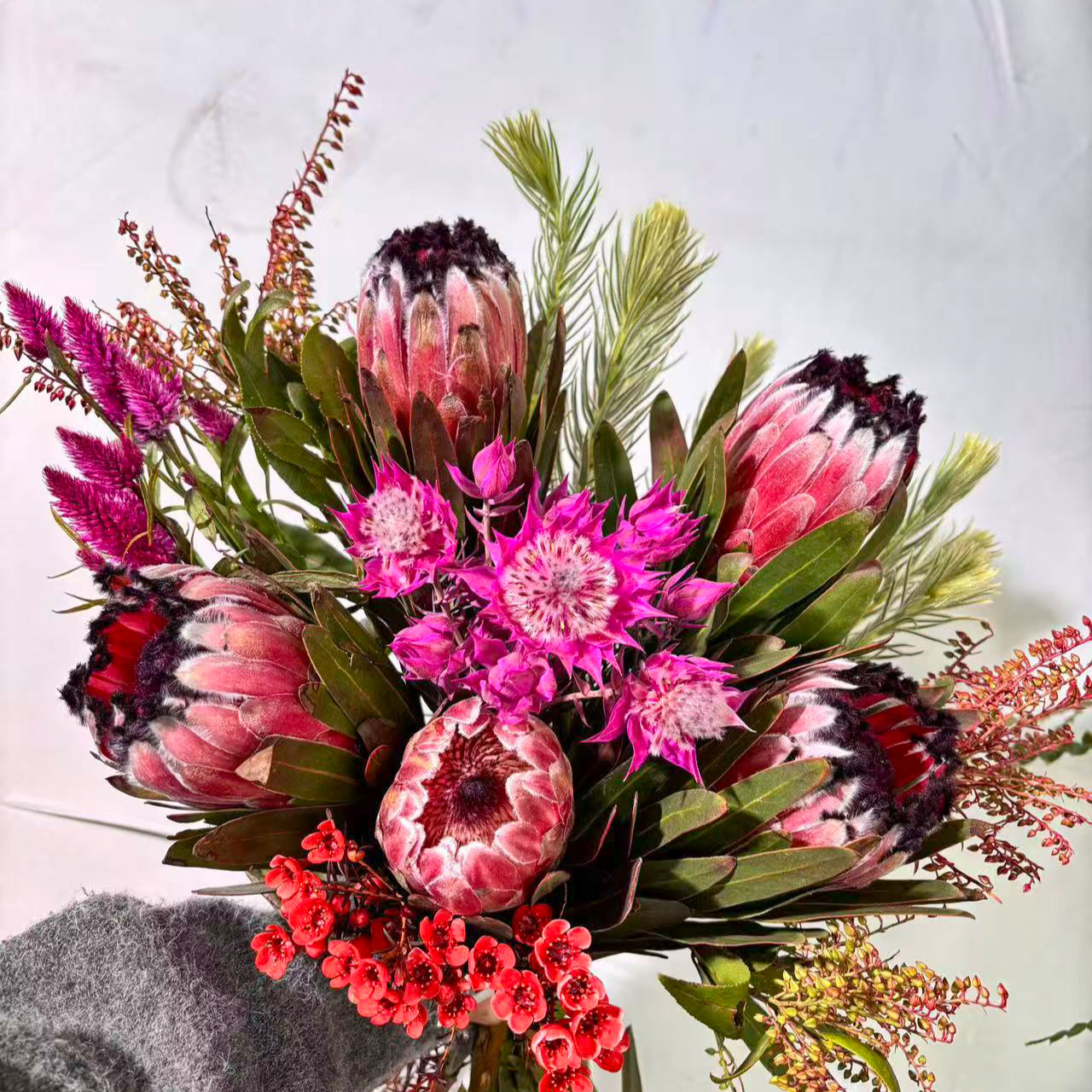 【莫奈花园】南非进口花公主花鲜花花束 可做干花 顺丰包邮