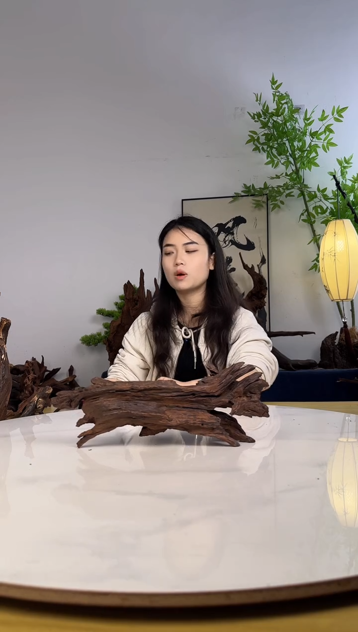 云***溪拍沉木定向链接编号12