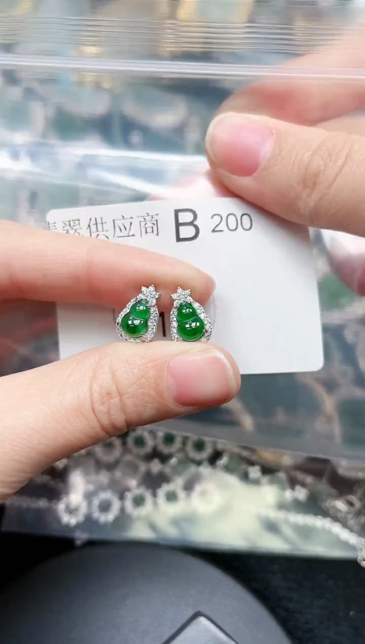 【闪购商品】翡翠颈饰未镶嵌200赠皮绳