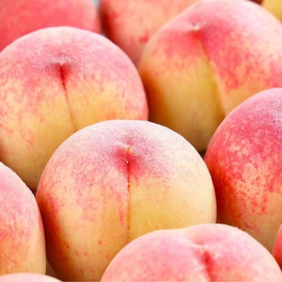 【大夏臻品】山西新鲜现摘春美水蜜桃鲜甜多汁当季水果