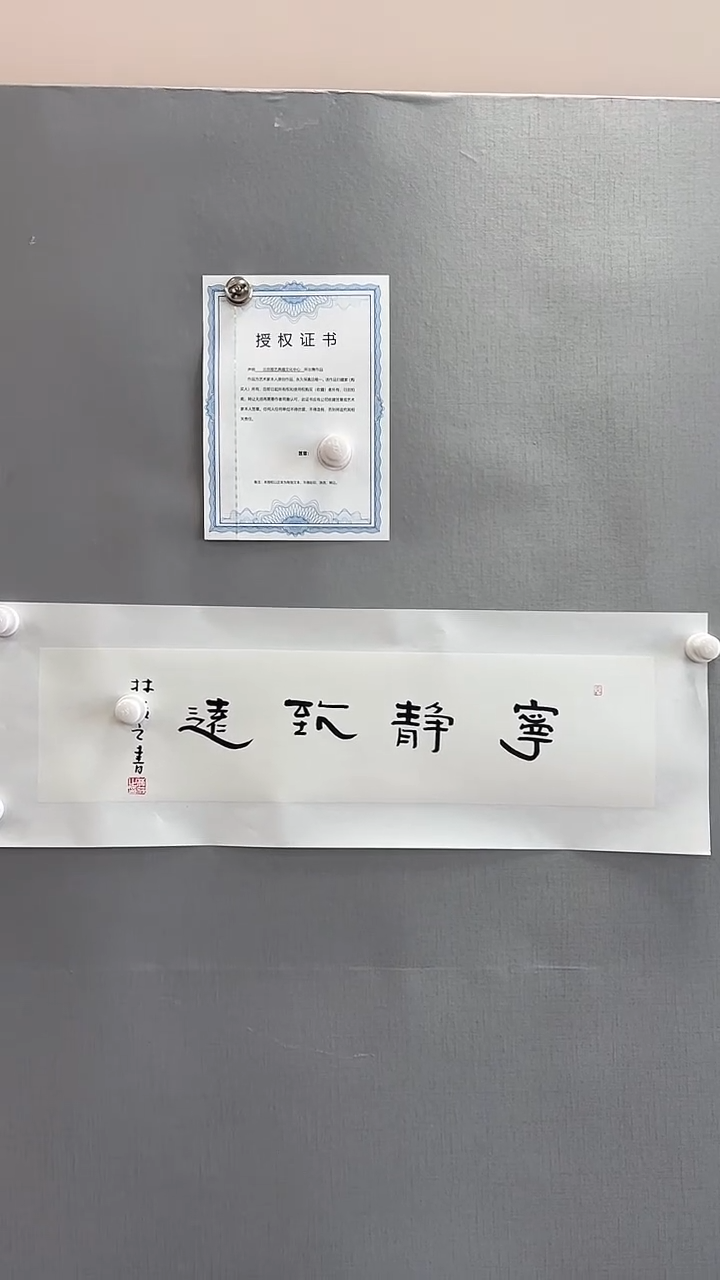 【闪购商品】书法雅艺典藏文化书法